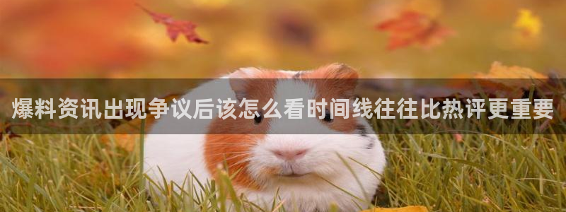 911爆料今日热搜