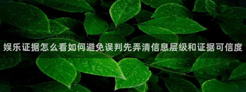 事件爆料动态