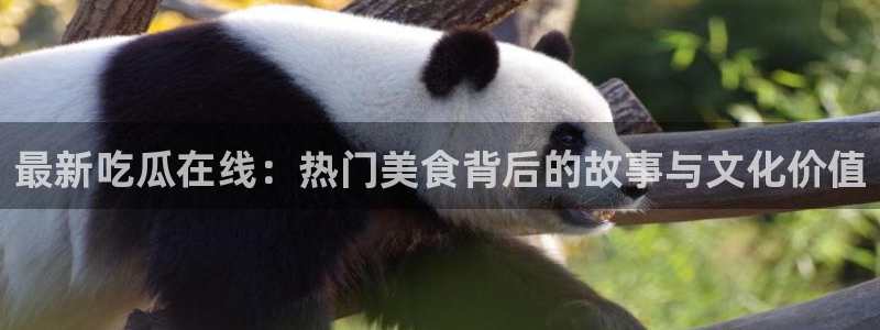 911爆料热门事件