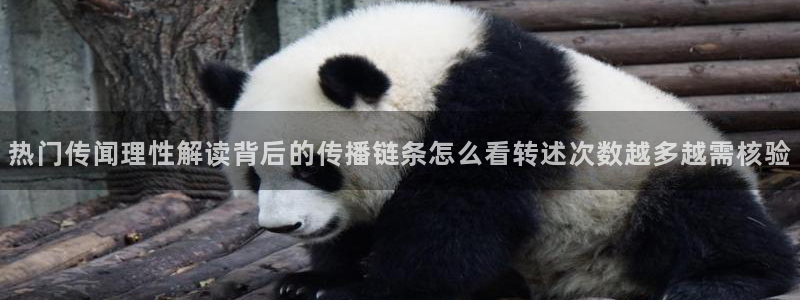 911吃瓜每日事件资讯