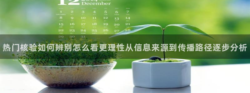 吃瓜热点话题